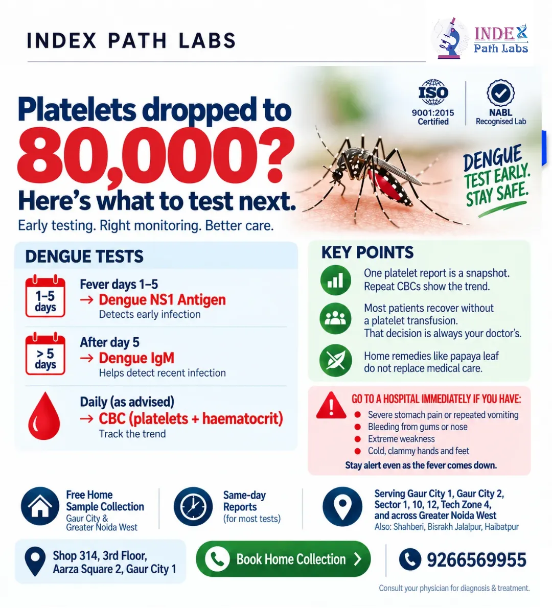 Dengue platelet count 80,000 infographic showing NS1, IgM and CBC test timing, Index Path Labs, Gaur City